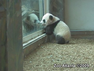 Zoo Atlanta2