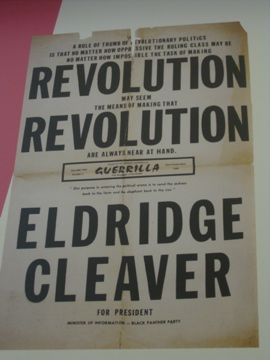 Revolution Revolution