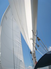 Anglų lietuvių žodynas. Žodis sails reiškia burės lietuviškai.
