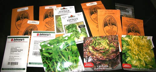 lettuce seeds