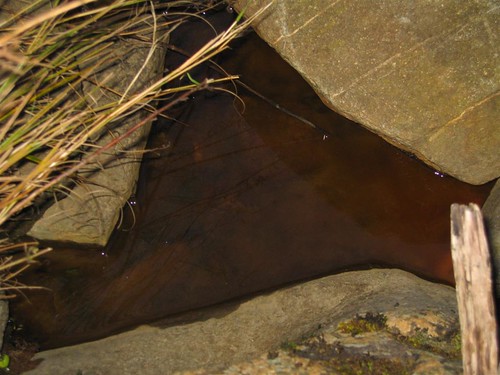 Tannin tinted blackwater at Barberville Falls