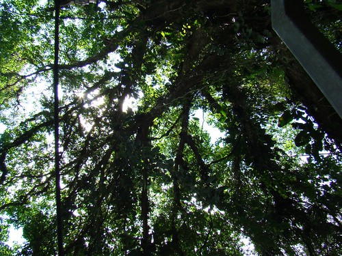 Veragua Rainforest, 7 Festival de Matemática