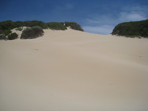 The Ferrari of sand dunes at Jeffrey's Bay