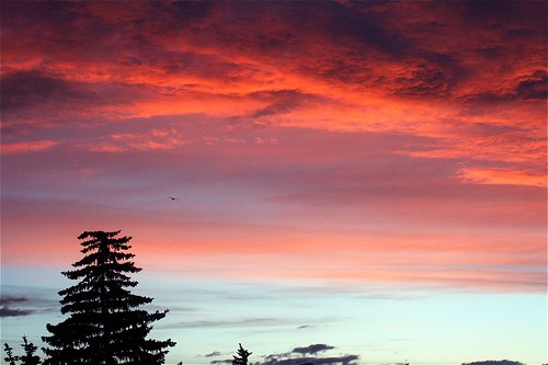 Red Sky at Night_2