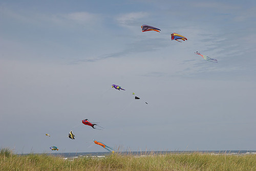 Kites at the beach