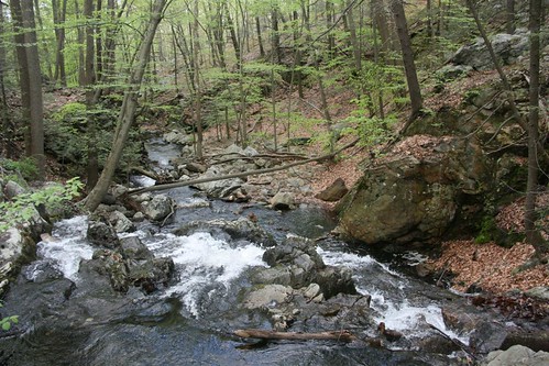 A stream runs downhill
