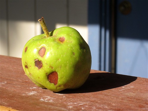 Bad Day for an Apple by cogdogblog, on Flickr