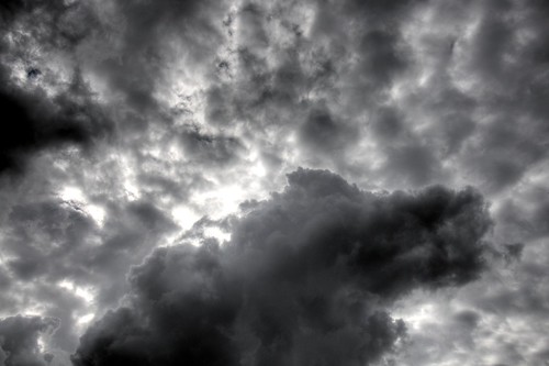 2997470710_34200d1423.jpg