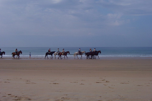 horses in southern spain