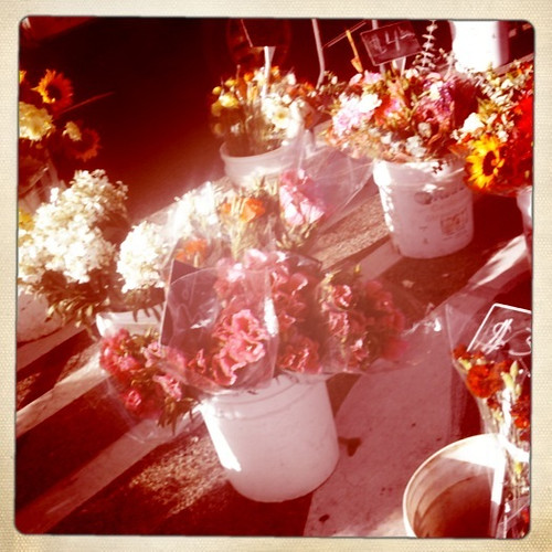 flowers for sale...