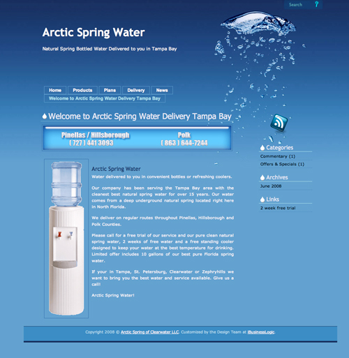 iBusinessLogic.com Designing New Website Blog for Clearwater, Florida Water Company