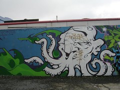 Shelmac's photo of some notable Octopus grafitti