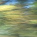 Abstract trees in motion
