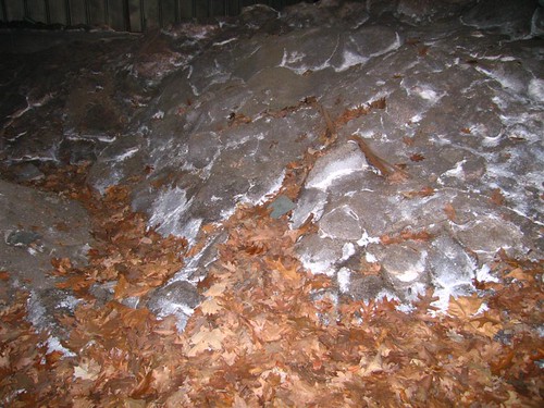 Leaf covered asbestos