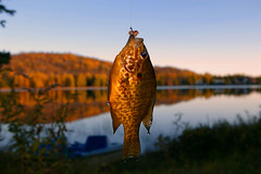 Autumn Fishing!