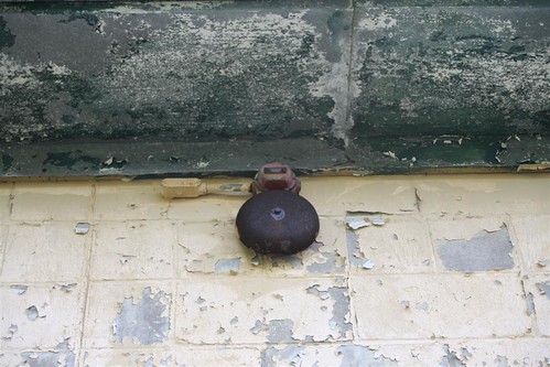 Rusted alarm bell on utility building