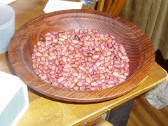 Cranberry beans in mulberry wood bowl