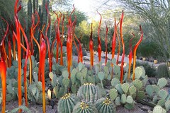 chihuly 4