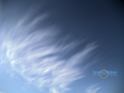2993990980_2d99796989.jpg