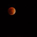 Lunar eclipse - 16