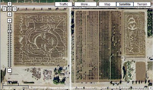 Schnepf Farms Oprah Corn Field Maze