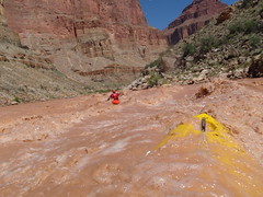 A Kayaker's eye view of one of the many Grand Canyon rapids