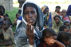 Food crisis in the Horn of Africa
