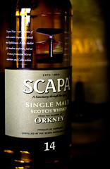 Anglų lietuvių žodynas. Žodis scapa reiškia <li>skapa</li> lietuviškai.