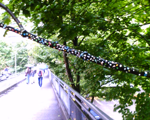 IMAGE_01719.jpg