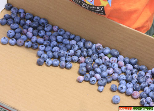 Picked Blueberries
