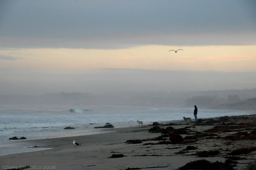 Monterey morning