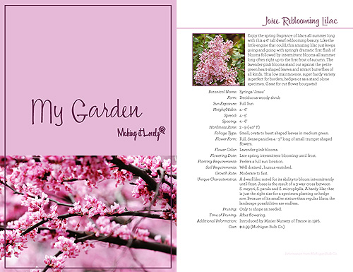 My Garden: A Personal Plant Reference