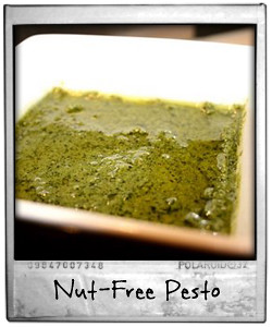 Nut Free Pesto