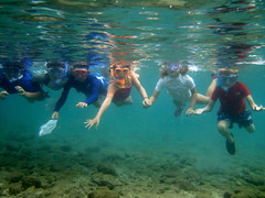 Group Underwater Photo