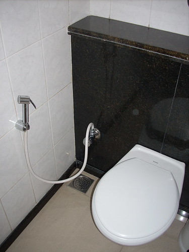 Tales of the Burbs: Indian Bathrooms (brought to you by ...