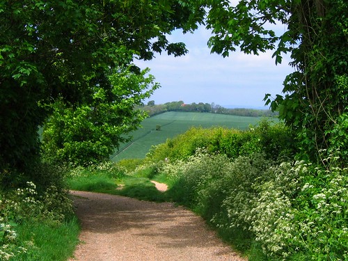 South Downs Way west of Alfriston