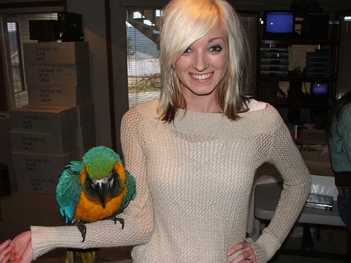 macaw on jamie\'s arm