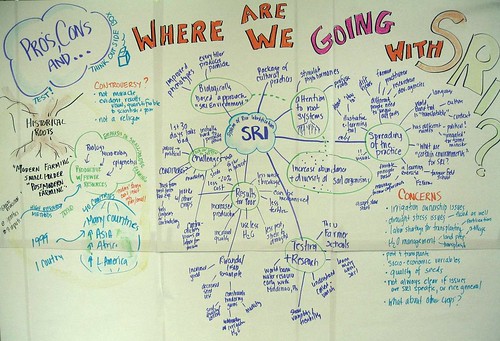 Mind map of SRI session at IFAD