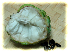 Amazing, this whole Sugar Apple fruit weighed 350gms! Harvested 2008-04-06