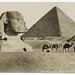 A World of Adventure-Ancient Egypt