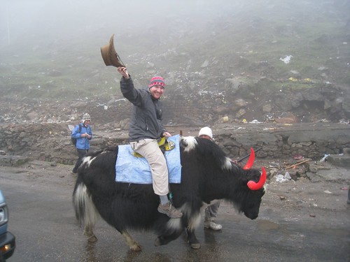 Riding a yak at 12,400 feet (India)