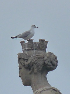 birded statue
