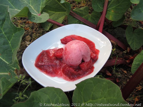 Erdbeer-Rhabarbereis