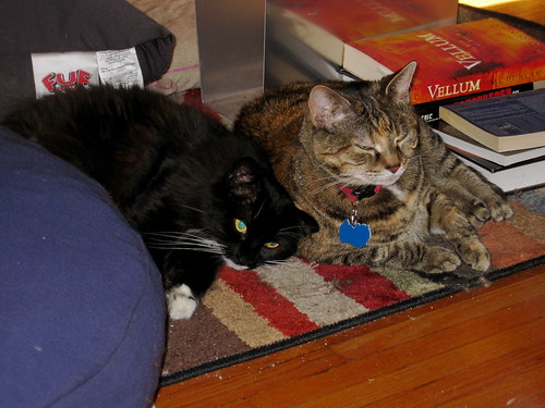 Maggie & Nixie