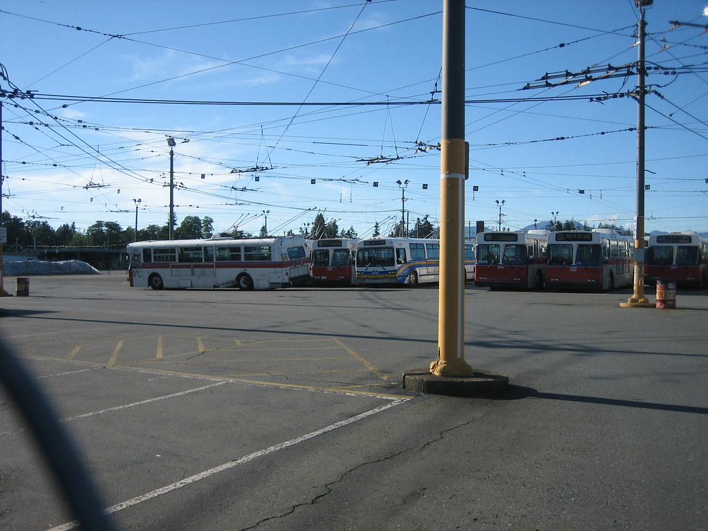 Buses stored at OTC