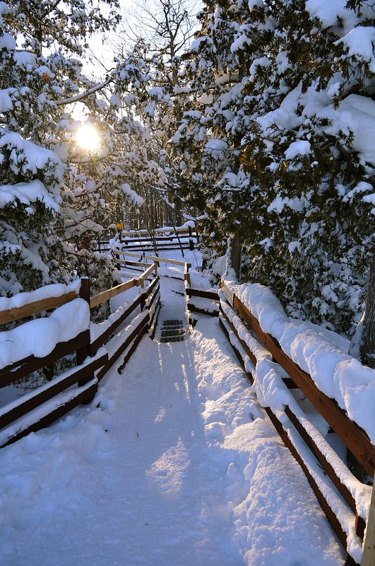 Snowshoeing At Scenic Caves Nordic Centre • GAIL AT LARGE