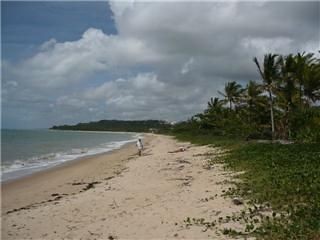 Arraial d´Ajuda, Pitinga Beach, Bahia, Brazil