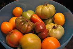 tomato bowl