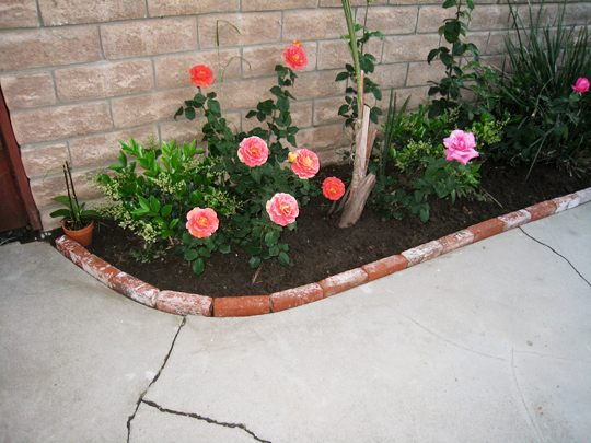Brick lined garden planter 