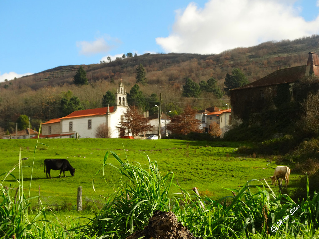 Águas frias (Chaves) - ...igreja ao fundo do prado ...